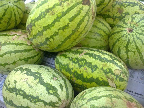 20 CAL SWEET SUPREME WATERMELON Red Citrullus Lanatus 30 lb Melon Fruit Seeds - Bild 2 von 6