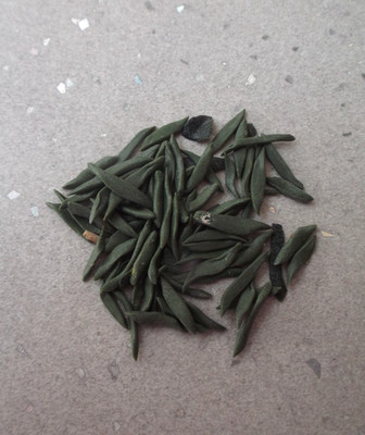 1/12th Dolls house Food  PACK OF GREEN BEANS