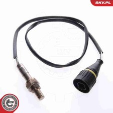 Lambdasonde Sensor Abgassteuerung ESEN SKV 09SKV026 für BMW PORSCHE 12V 3er E36