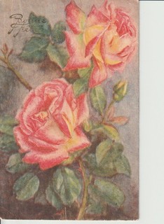 CPSM BONNEFÊTE 1952 (Roses)