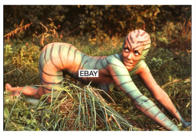 SALE: VAMPIRE CIRCUS 1972 MOVIE PHOTO #3 HAMMER FILMS HORROR TIGER GIRL