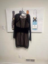 Free People Black Lace Sheer Mini Bodycon Dress Long Sleeve Short S