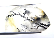 ip16 Dendrite Quartz 19.03ct 16x27x5mm free form picture stone garden branches