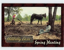 Postcard Hillbilly Livin' Spring Planting Hills USA North America