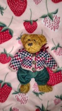 Eddie Bean Bauer Boyds Bears 10" Sweater Bear Plush Soft Toy Stuffed Animal