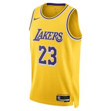 Nike LA Lakers NBA Swingman Jersey Lebron James Icon DN2009-733 Size 2XL B16