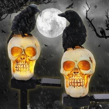 Retisee 2 Pcs Halloween Garden Decor Solar Skull Lights as the picture shown 