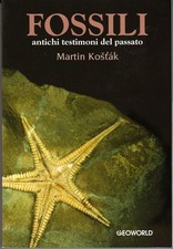 Libro fossili paleontologia guide dinosauri ammoniti trilobiti