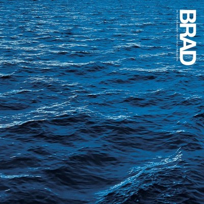 Brad In the Moment That You're Born (Vinyl)