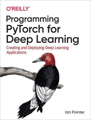 Programming Pytorch for Deep Learning | Ian Pointer | Englisch | Taschenbuch