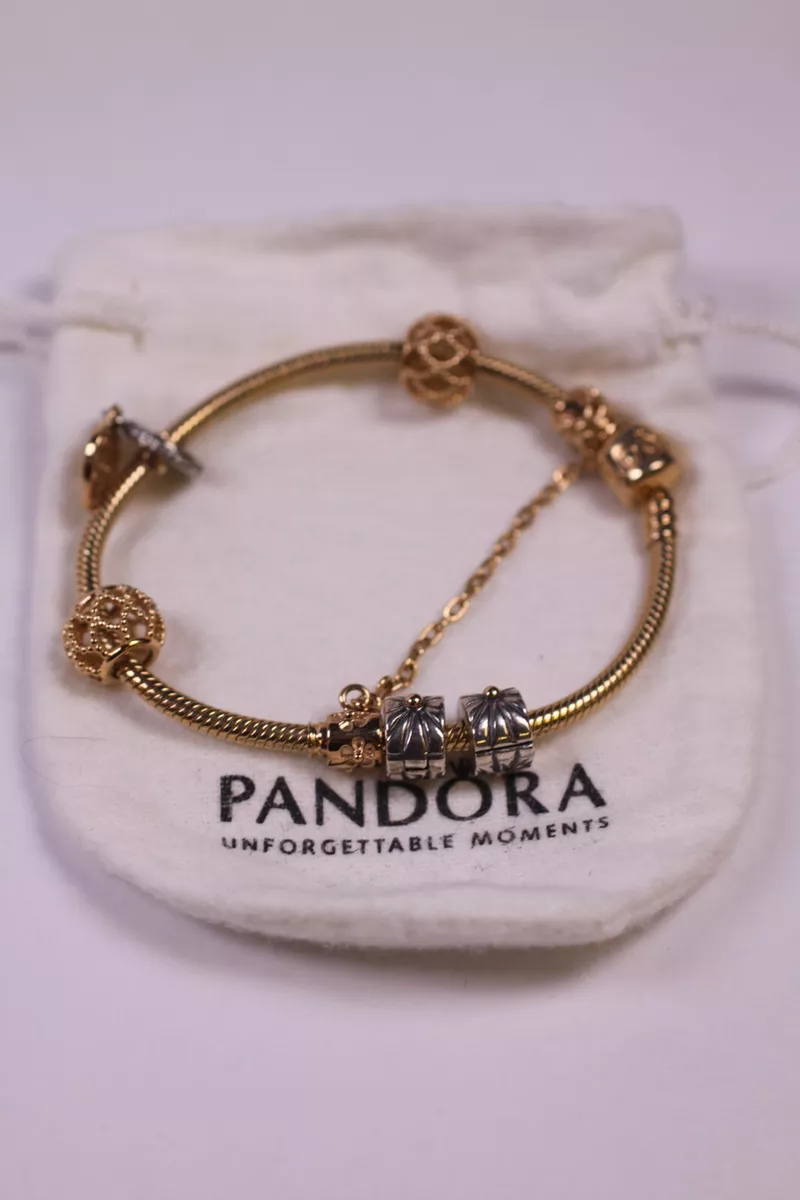 Pandora chain 2024 bracelet charms