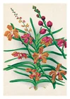 Linden Orchid by Jean Linden Orchids A4 Art Print Flower Art