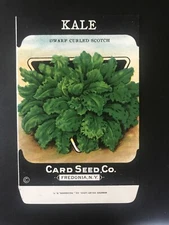 1920s Litho Antique Vintage Card Seed Co. Packet Pack Kale dwarf curled scotch