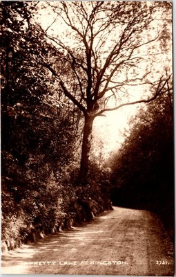 Apretty Lane Kingston von Bäumen gesäumte Landstraße Surrey Vintage Postkarte RPPC 1910