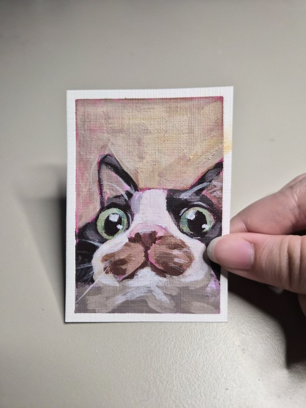 aceo original goofy cat painting