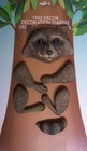 Garden Accent Tree Face Raccoon Wall Fence Shed NEW colored polyresin