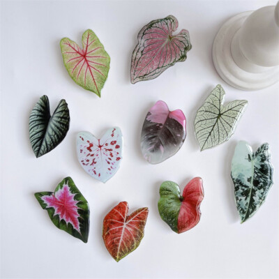 heavenly HOYA Phone grip holder Handyhalter tropical leaf handy halterung