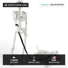 Lighted Human Dog Skeleton Halloween Decorations Outdoor/Indoor - 36 Inch Real