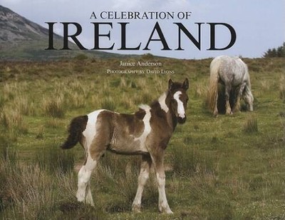 A Celebration of Ireland - Hardcover By Anderson, Janice - GOOD