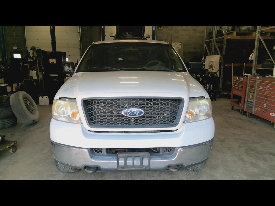 Used Tailgate fits: 2005 Ford F150 PICKUP New Style Styleside box Grade C - Изображение 3 из 4