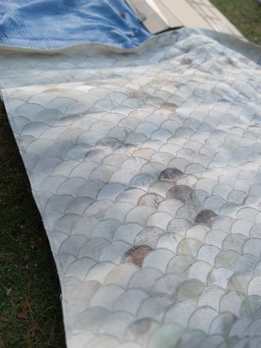Rare Find...Serena & Lily Scalloped Cowhide Rug Largest size 11 x 14 FEET - Picture 5 of 7