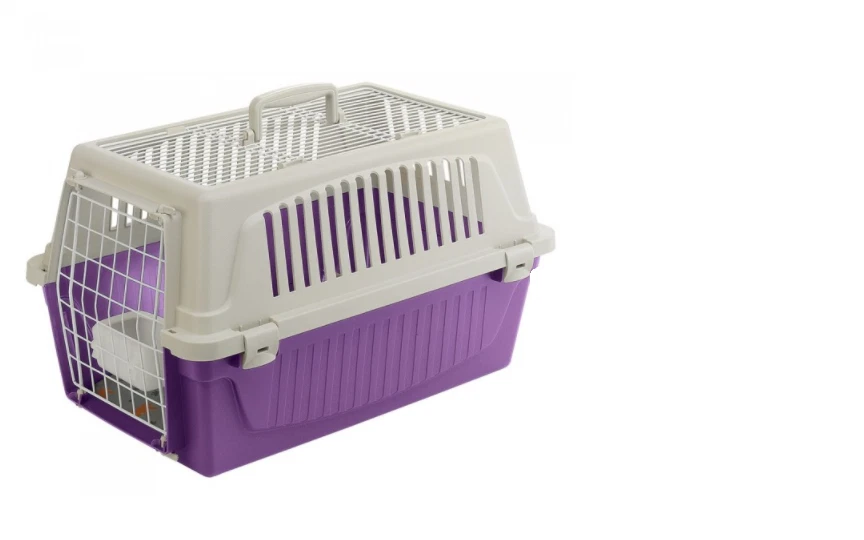 Trasportino per cheap gatti ebay