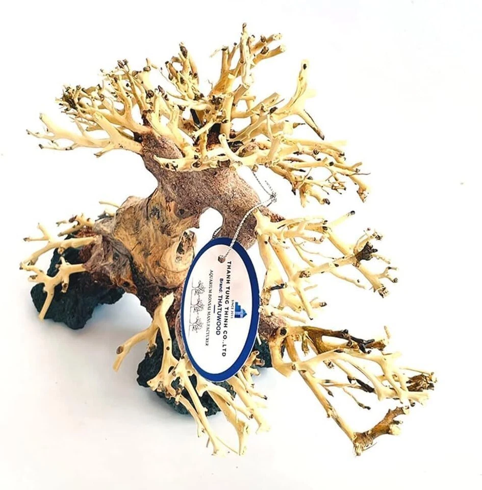 Enchanting 8" Driftwood Bonsai Tree for Aquariums – Handcrafted Natural Aquasc - Image 2 of 4