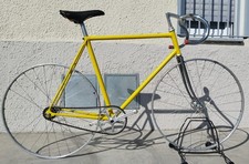 Bici Da Pista Gialma Campagnolo