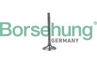 Einlassventil Borsehung B19024 FüR 1K1 Audi Seat VW Golf Passat 3C5 3C2 5 B6 EOS