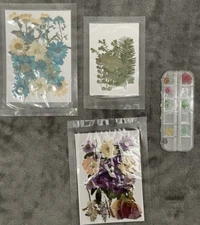 Natural Pressed Dried Flowers and Leaves, Dry Flowers for Resin