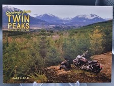 TWIN PEAKS - RARE GOLD BOX DVD POSTCARD No.8 - JAMES HURLEY (DAVID LYNCH)