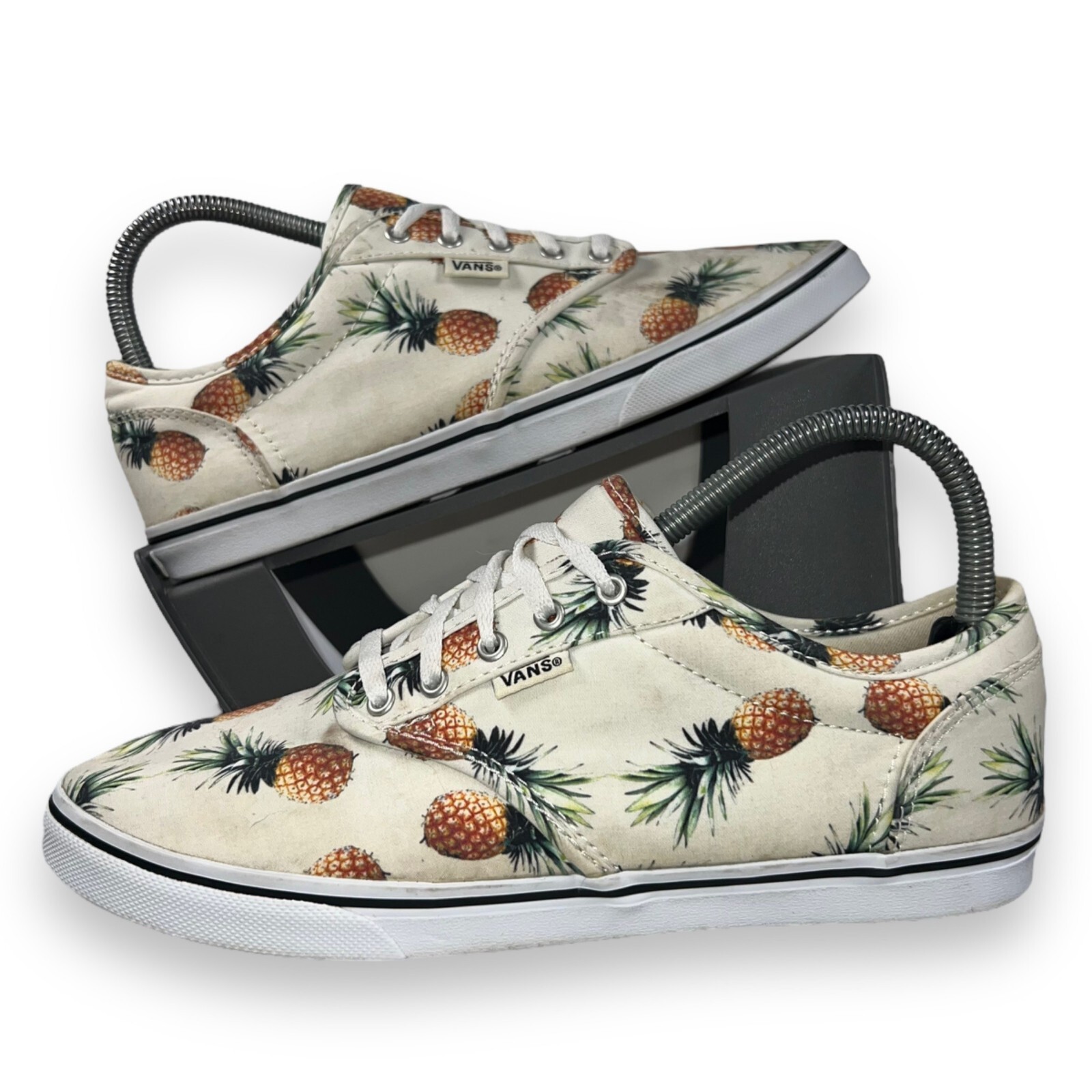 Vans Atwood Low Skate Shoes 