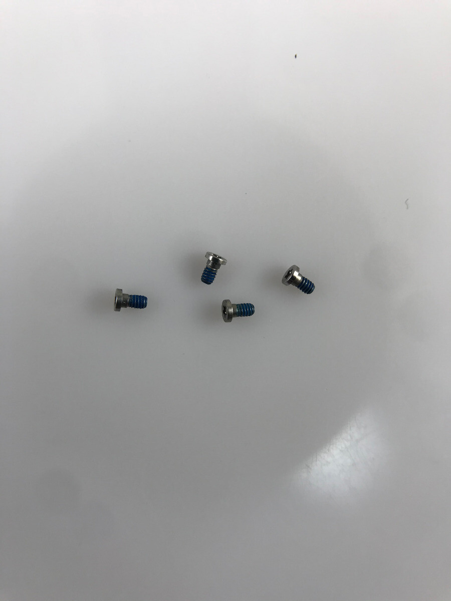 Original Apple replacement hardware/screw/lug for classic buckle