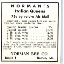 Anuncio de revista Norman Bee Co Italian Queens Ramer Alabama 1964 AK5-S36