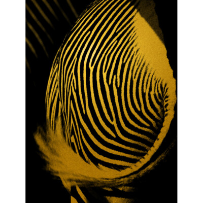 Abstrakter Wandkunstdruck Goldoptik gelb schwarz Zebra Rückseite gerahmt 12x16
