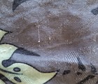 Bild 7 von 8