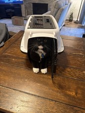 Petmate 19" Top Load Kennel Carrier