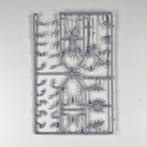 Warhammer Fantasy Age Of Sigmar Daemons of Slaanesh Daemonettes Bits Sprue