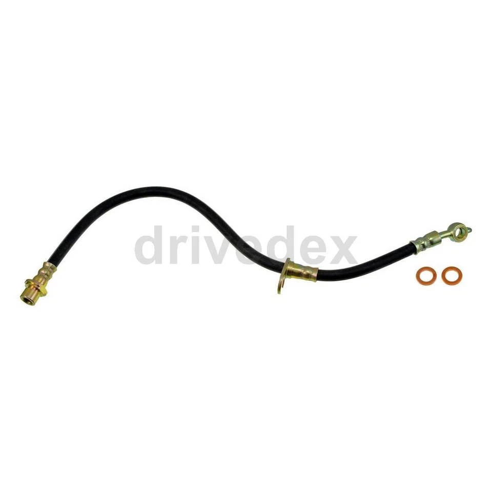 Par de mangueras Dorman - primera parada de línea de freno para Toyota Avalon 2000 2001 2002 2003 Foto 2 de 4