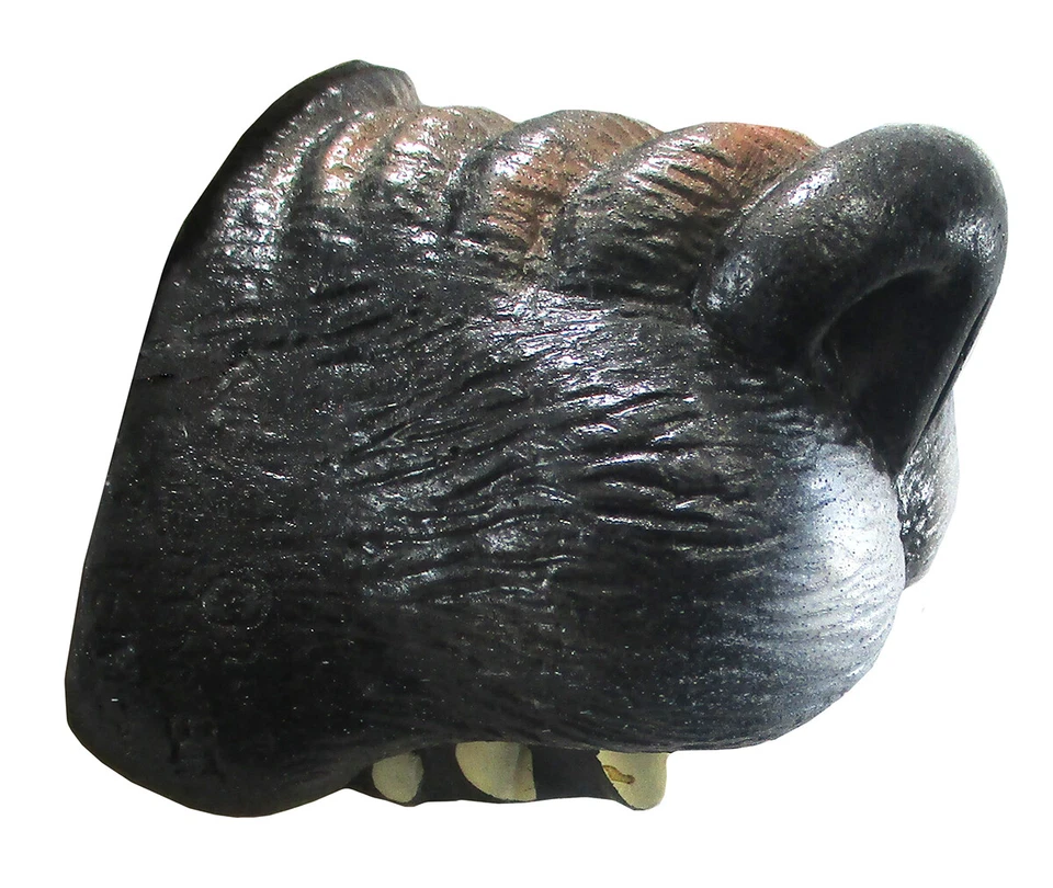 Adulto Big Bad Hombre Lobo Lobo Perro Nariz Con Dientes Mini Máscara Disfraz Accesorios Foto 3 de 4