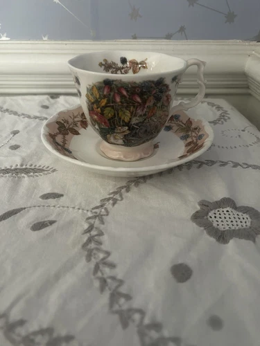 ROYAL DOULTON BRAMBLY HEDGE “Autumn” TEA CUP AND SAUCER, Full Size