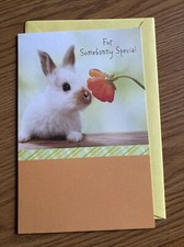 American Greetings Easter Card For "Somebunny" Special . Am Grtgs Retails 3.89.
