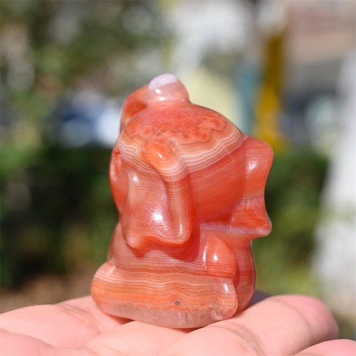 2'' Red agate Elephant hand Carved Natural Reiki Crystal sculpture Decor 1pc - Picture 5 of 14