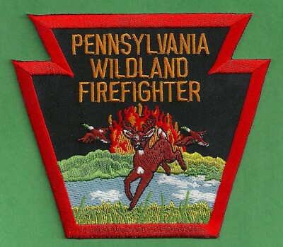 PENNSYLVANIA STATE WILDLAND FIREFIGHTER FIRE PATCH | eBay