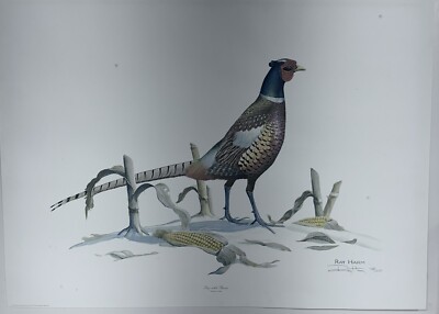 Ray Harm Signed Numbered Art Print 'Ring-Necked Pheasant' Silk Screen Print BH