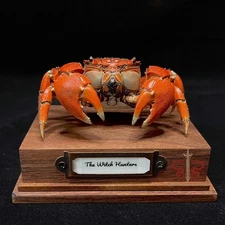 Crab specimen real Neosarmatium smithi, museum-quality taxidermy & display box