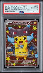 2016 Poncho Pikachu | eBay