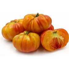 Big Rainbow Beefsteak Tomato 30 Seeds | NON-GMO | Heirloom Seeds