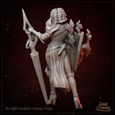 Joanna Human Vampire Hunter Paladin Fighter Cleric Miniature | D&D