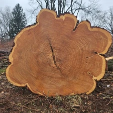 live edge wood slab round